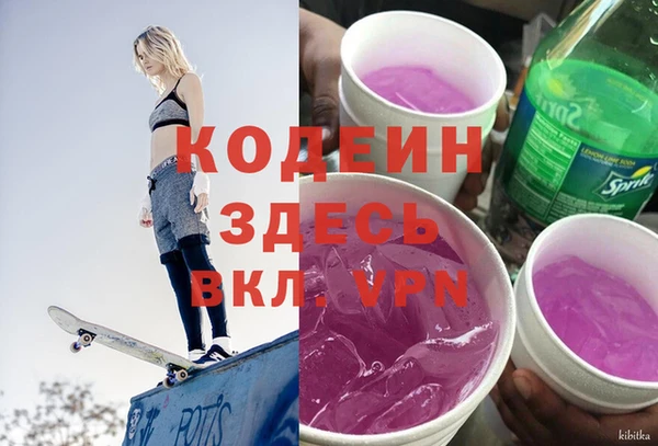 индика Киренск